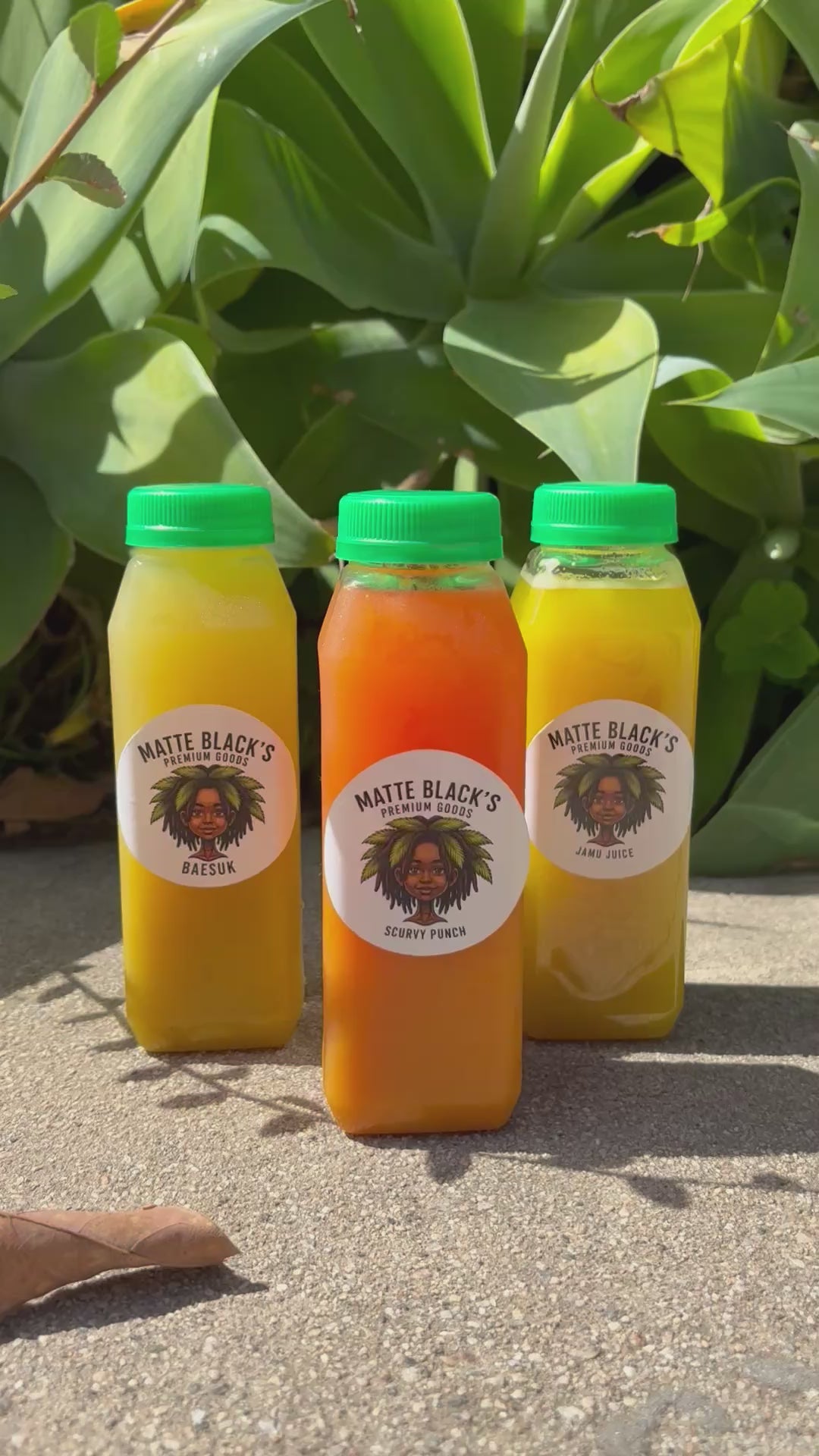 Los Tres Reyes — Variety Park!